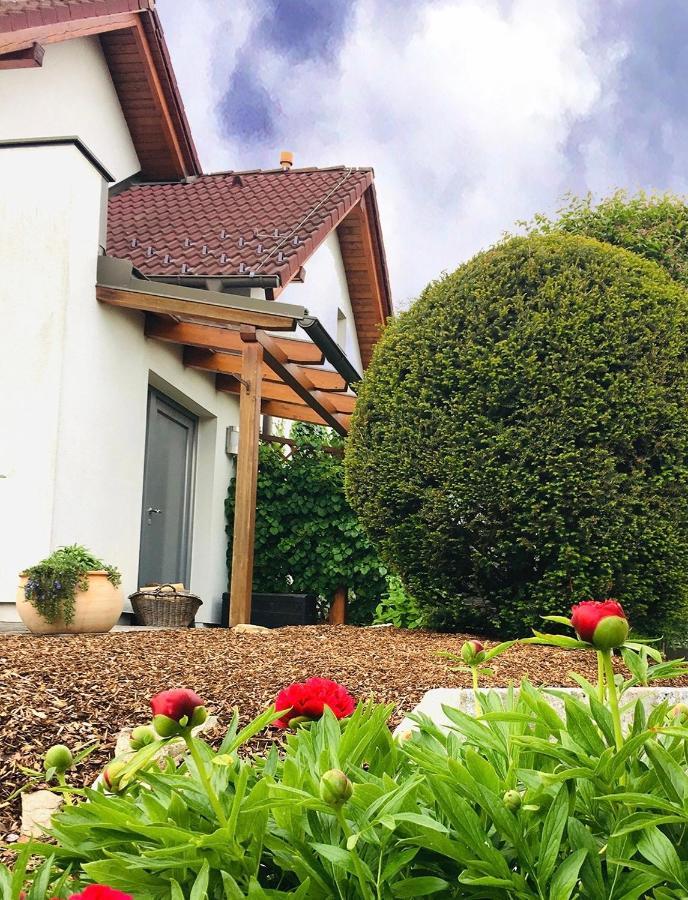 Ferienhaus Am Tor Zur Wachau Eggendorf  Екстер'єр фото